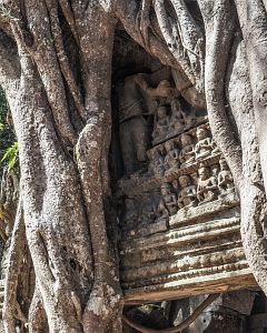 Bild "Angkor_TaSom_10.jpg"