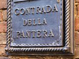Bild "Siena_Contrada1_05.jpg"