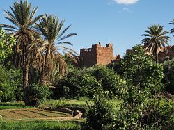 Bild "Marokko1_06.jpg"