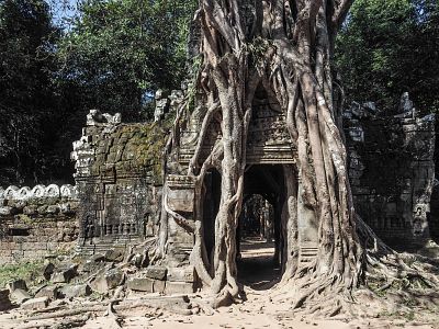 Bild "Angkor_TaSom_09.jpg"