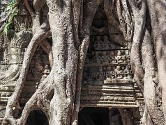 Bild "Angkor_TaSom_11.jpg"
